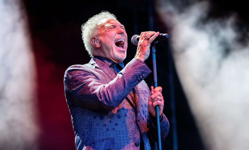 Audience at a Tom Jones concert